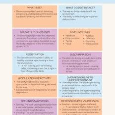 The Sensory System