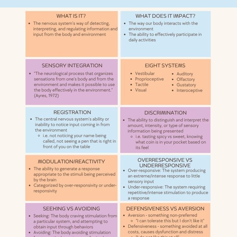 The Sensory System