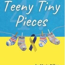 Teeny Tiny Pieces book