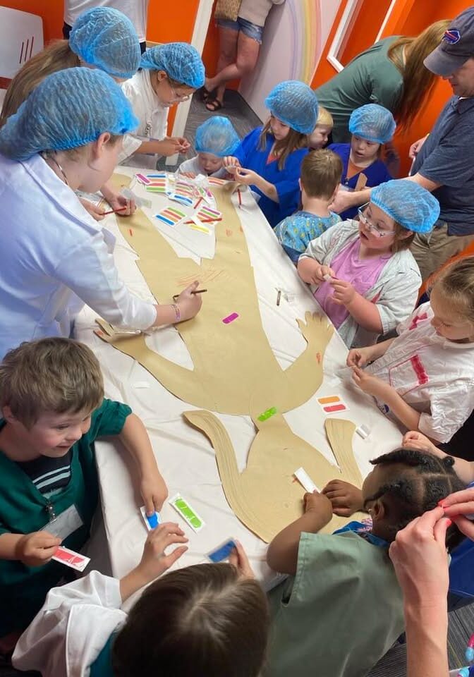 best whole room surgery