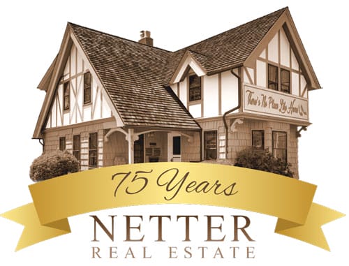 netter netter logo