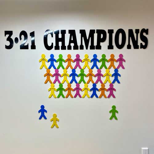 champion-2 champion wall image 2