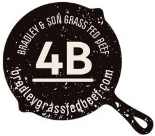 Bradley-and-Sons-logo
