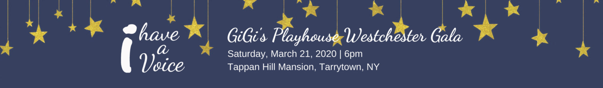 westchester_gala_header westchester_gala_header
