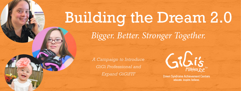 header-capital campaign2 header-capital campaign2